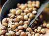 Lower production worries push up Coriander prices