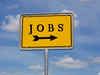 Net employment would improve for 2013, though Q1 will be sluggish: Report