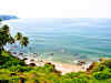 Arab Spring: Occupancy at hotels in Goa, Kerala beaches up 20% as international tourists seek safer destinations