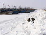 1,000 ships stuck in China's sea ice