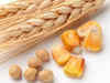 Agro commodities update: Soybean, wheat price up