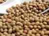 Soyabean down; top commodity trading bets by experts