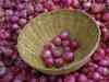 Onion prices spike 57% in a month but minimum export price unlikely
