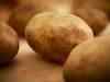 Potato gives 100 pc return in futures market in one year