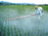 Swiss Co Syngenta plans to double India revenue