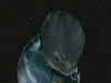 Asteroid 2012 DA14 misses Earth by 17200 miles