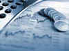 Cut in FY13 borrowing a welcome move: CARE Ratings