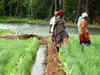 Economic Survey 2013: India's global ranking for agricultural-exports improves to 10th