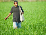 Budget 2013: Ensure adequate allocation for fertiliser subsidy, asks FAI