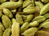Tata Global ties up with cardamom growers from South India