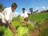 Andhra Pradesh to come out with special budget on agriculture