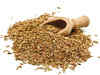 Cumin prices set to recover from April