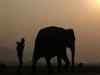 Drought forces officials to shift elephants to interiors of Bandipur sanctuary