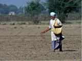 Urea import rises 2.5 per cent to 78.65 lakh tonne