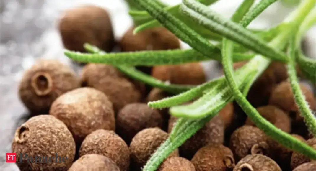 Allspice combines the aroma and taste of cloves, cinnamon and nutmeg