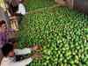 Devgad’s farmer co-op society of Alphonso mango farmers in Maharashtra expands online