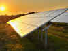 25 firms show interest in 300 MW solar projects in Punjab