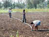Centre may fund irrigation projects in Naxal-hit areas