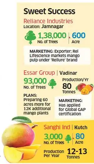 Reliance, Essar and Sanghi groups growing mango on barren land - The ...