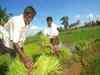 Normal monsoon to boost kharif sowing: Agriculture Ministry