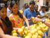 Delay in transport subsidy ruining mango export opportunities