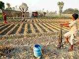 Public Sector Fertiliser major FACT to invest Rs 6500 crore by 2020