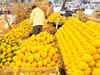 India likely to export record 500 tonne mangoes to US: APEDA