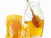 Conference: Move to promote honey industry of Northeast India