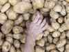 Potato prices to increase in July