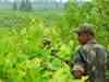 Maoist camp busted in Odisha's Nuapada district