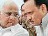 NCP’s rejig plan: Senior ministers refuse to give up positions for Lok Sabha campaign