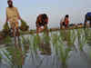 Farmer's body fears distress sale of paddy