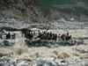Precise forecasts could have prevented Uttarakhand tragedy: NDMA