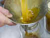Edible oil may remain cheap in 2013-14 as supply surges