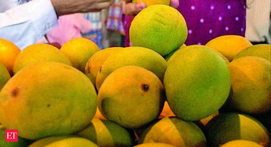 Mango diplomacy Alphonso mango likely to land in Mauritius The