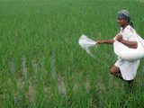 Fertiliser Ministry seeks assured gas from Ghana for Rashtriya Chemicals & Fertilisers urea plant