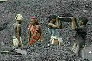 CIL to begin signing FSAs with NTPC tomorrow CIL to begin signing FSAs with NTPC tomorrow