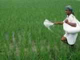 Fertiliser Ministry against plan to abolish urea plants' 1st right to gas