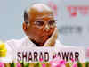 Sharad Pawar not in favour of onion export ban