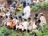 Uncertainty over mining at Niyamgiri as 4th Gram Sabha rejects idea