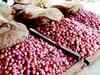 Onion Prices may retreat in October on high supplies