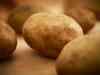 Potato prices to come down in West Bengal on prospect of a higher South Indian crop