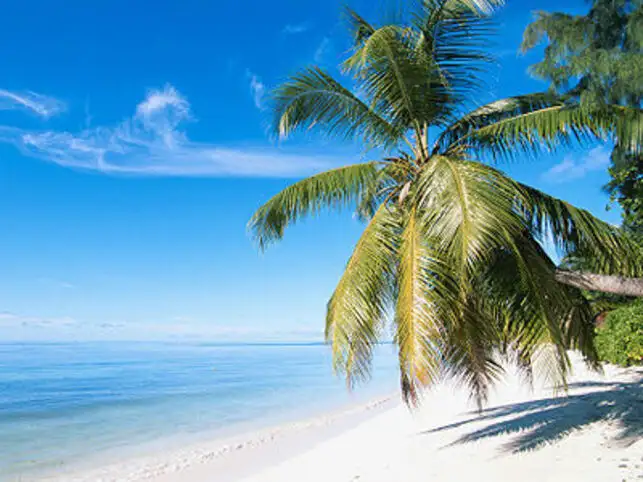 Live Like There S No Tomorrow The Economic Times Live Like There S No Tomorrow The