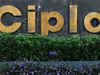 Cipla surprises Street with 10% jump in Q1 profit