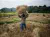 Farmers to get loans worth Rs 4,765 crore, says Andhra Pradesh minister