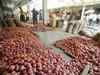 Government names 13 STEs as canalising agencies for onion exports