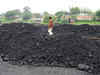 Government advised power companies to import 50 mt coal in FY14: Jyotiraditya Scindia
