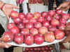 Falling rupee takes shine off India's apple imports: USDA