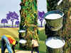 Short supply forces tyre companies to import rupee-hit rubber