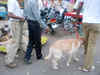 Hyderabad blasts: Charges to be framed against IM men tomorrow